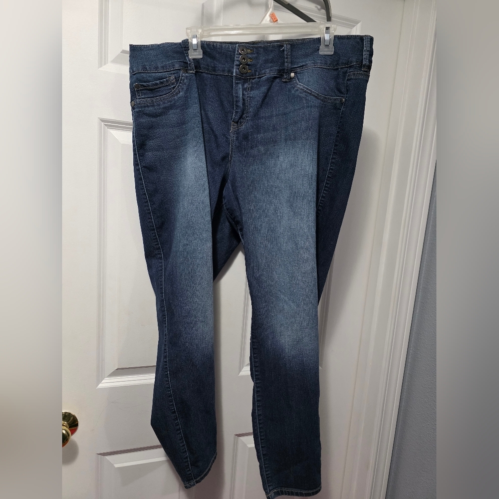 Torrid Indigo Stretch Jeggings